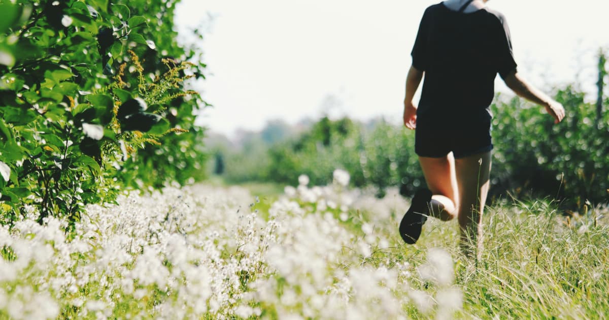 'Le Code du Cœur' du Dr Bradley Nelson atteint la liste des best-sellers de USA Today dès sa première semaine