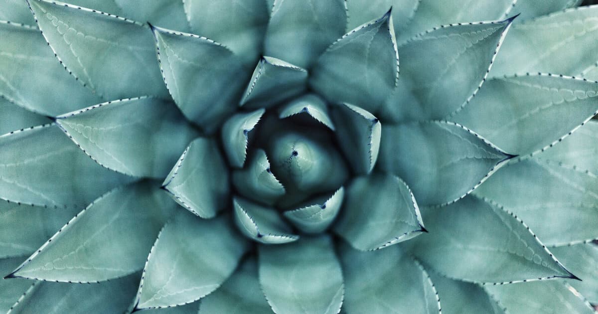 Coach Doris lance un cours en ligne pour dialoguer avec son subconscient