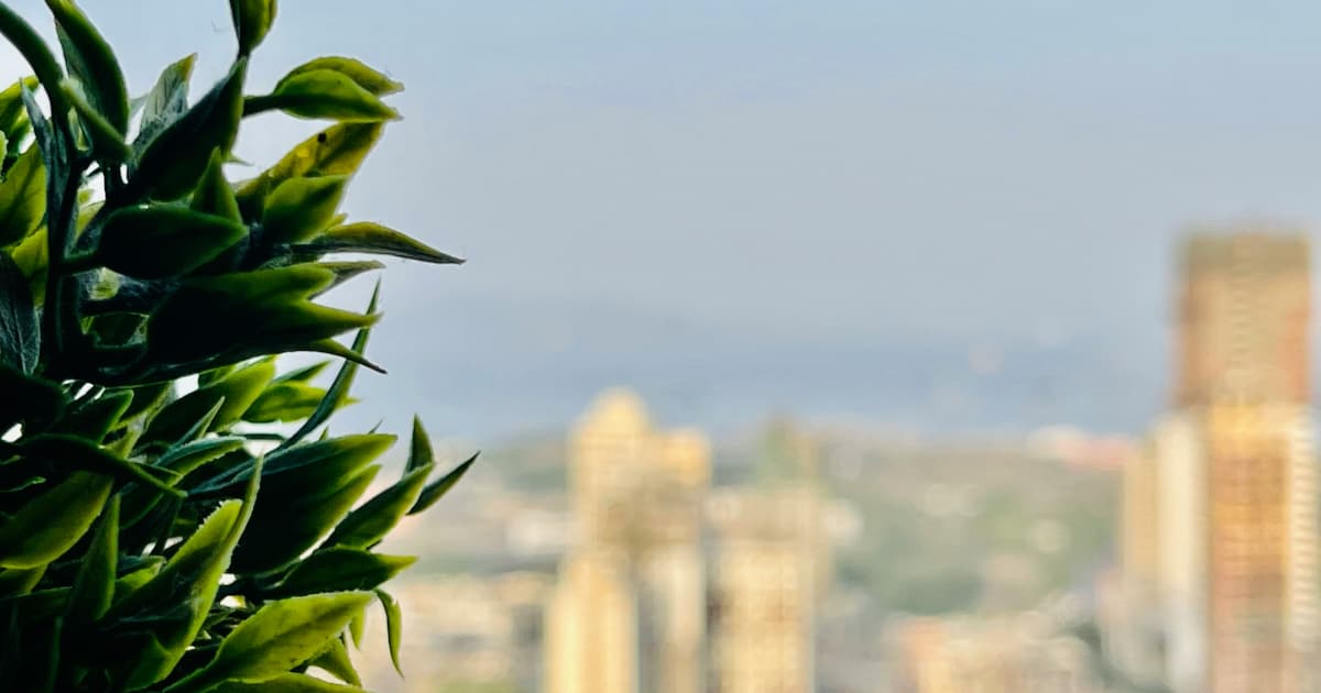 Une proposition de couverture Medicare pour les produits à base de chanvre suscite l'intérêt de l'industrie dans le débat sur la politique fédérale du cannabis