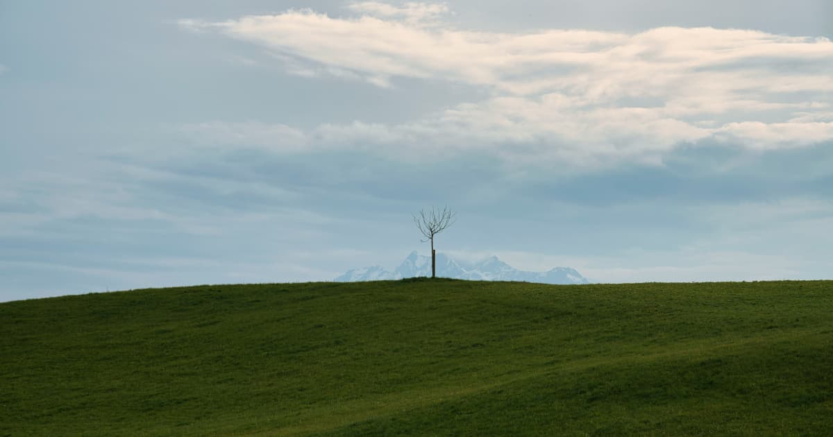 Safe and Green Holdings Corp. s'apprête à franchir l'ultime étape de fusion, recentrant ses activités sur l'énergie intégrée