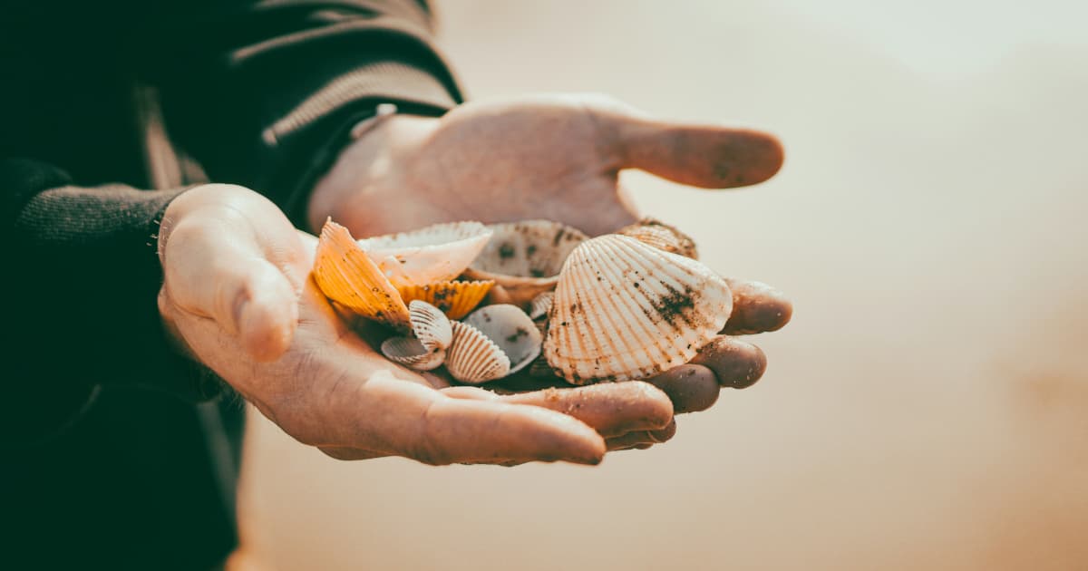 Kevin Sumlin lance un programme national de bourses pour les étudiants-athlètes