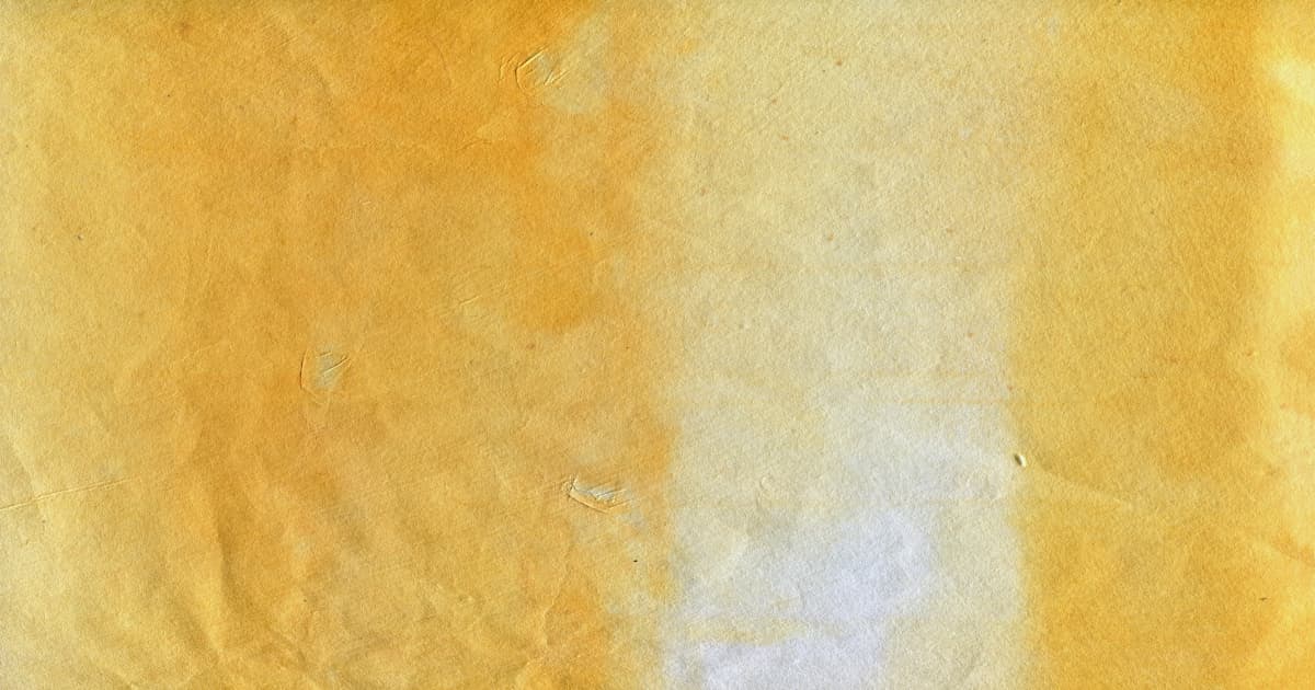 Le Musée d'Histoire des Arts Martiaux Renforce Son Engagement Communautaire Contre la Démence