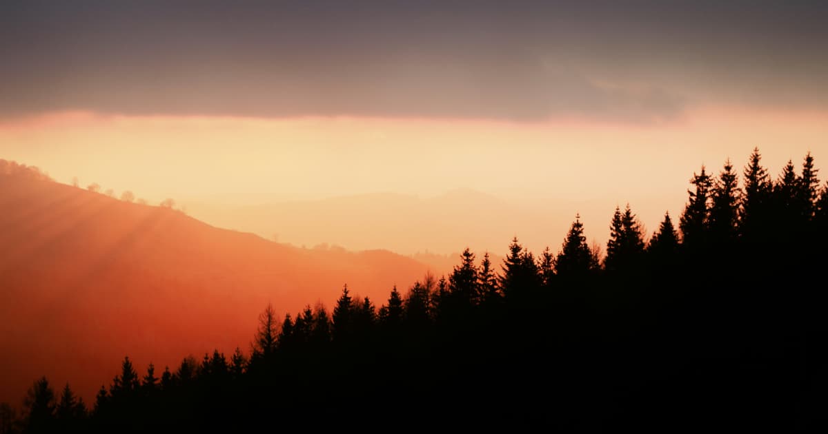 Eve Wilson de SpiritualHealers.com invite le monde à se souvenir de son intégrité lors d'événements internationaux