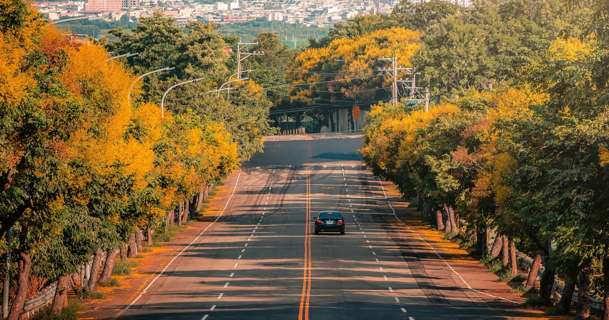 Lafayette Nail Spa s'établit comme une destination beauté complète axée sur l'hygiène et l'accessibilité