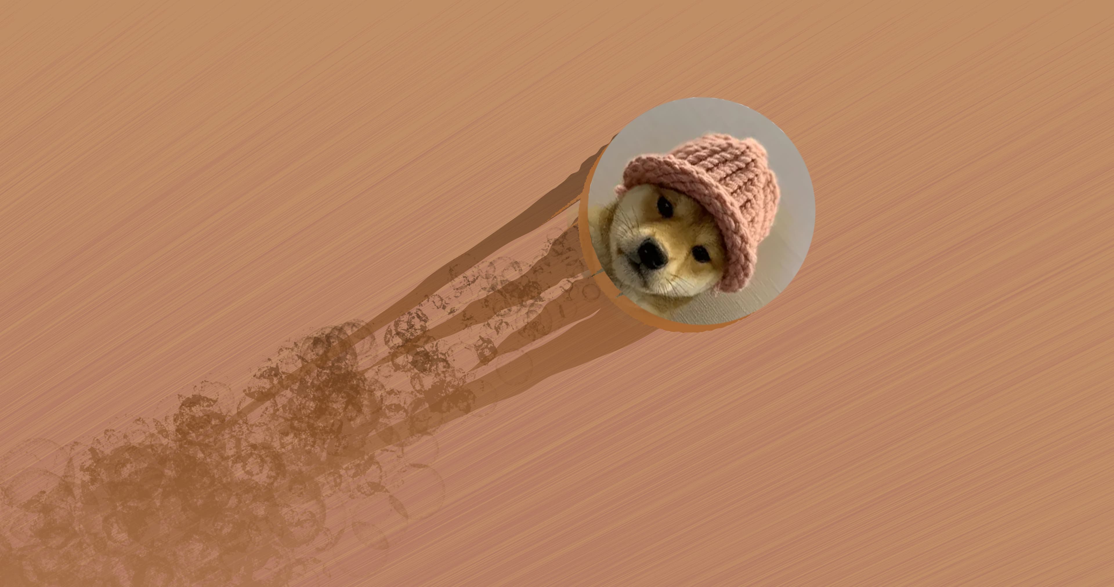 La baisse du Dogwifhat signale un changement dans la dynamique du marché des meme coins