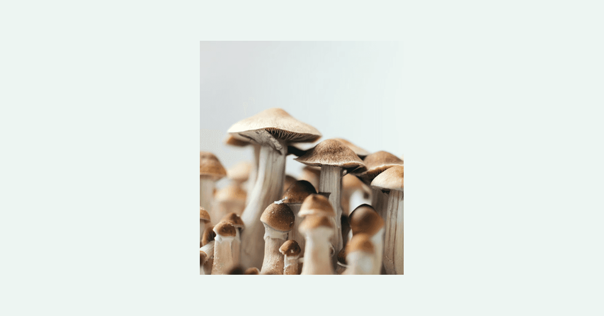 La DEA transmet une pétition de reclassement de la psilocybine au HHS pour examen scientifique