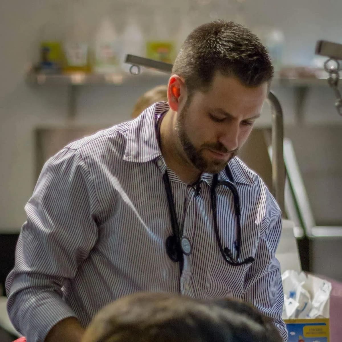 Le gouverneur Newsom nomme le Dr Steve Manyak au conseil vétérinaire de Californie