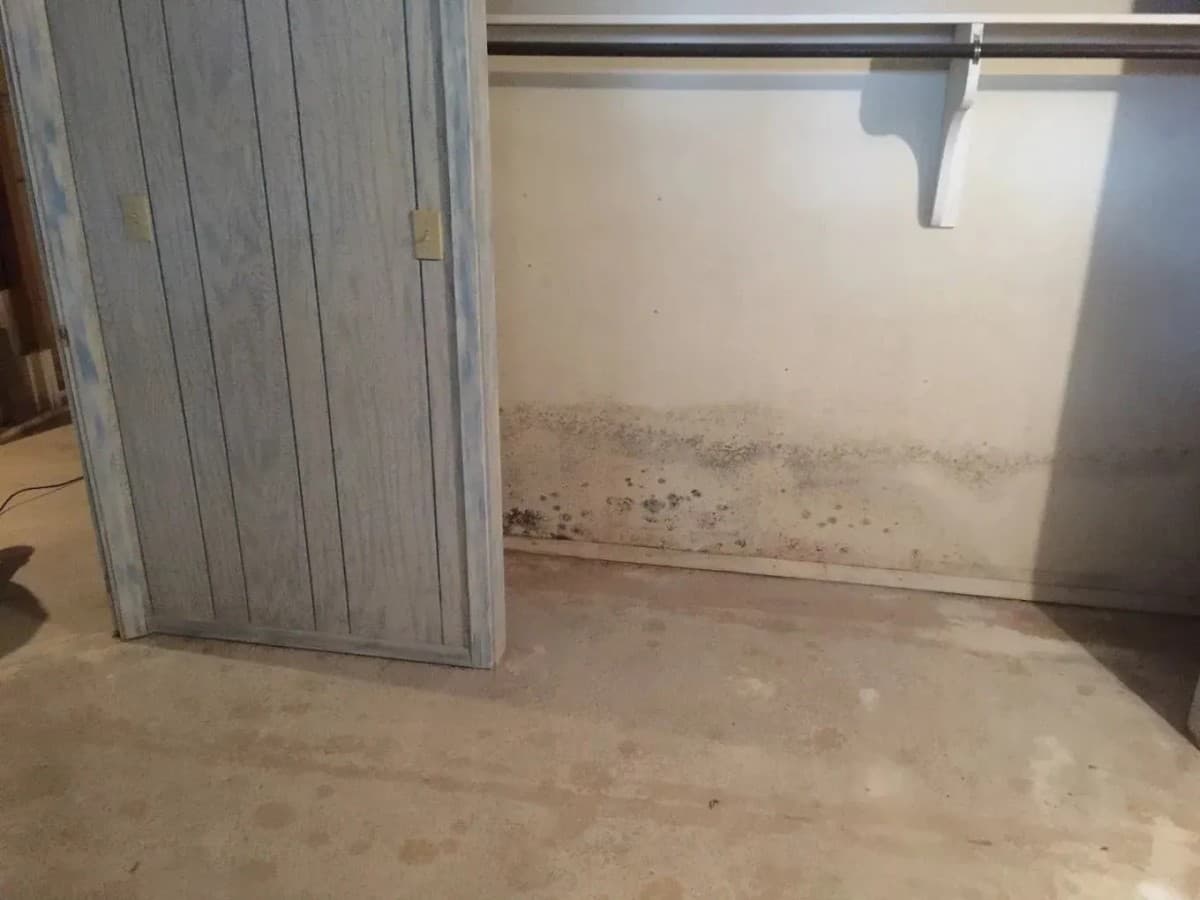 FreshCo Cleaning & Restoration étend ses services de traitement de moisissures à Wichita avec une inspection structurée et une vérification de la qualité de l'air