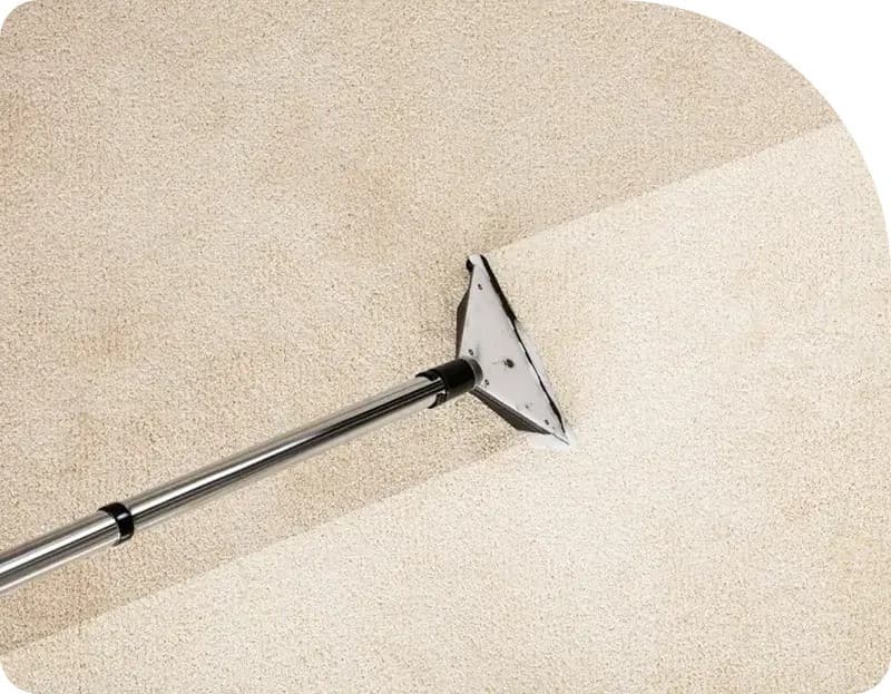 Les avancées technologiques de Flood Squad redéfinissent les normes de restauration des dégâts des eaux à Sydney