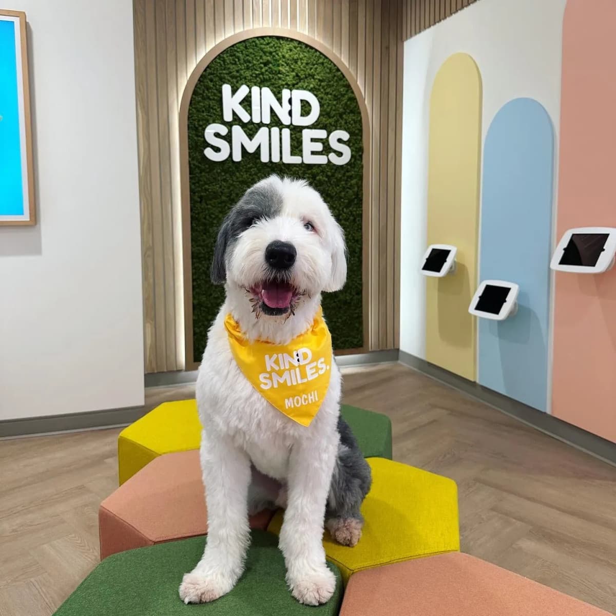 Kind Smiles Orthodontie et Dentisterie Pédiatrique Établit des Soins Dentaires Familiaux Complets à Irvine