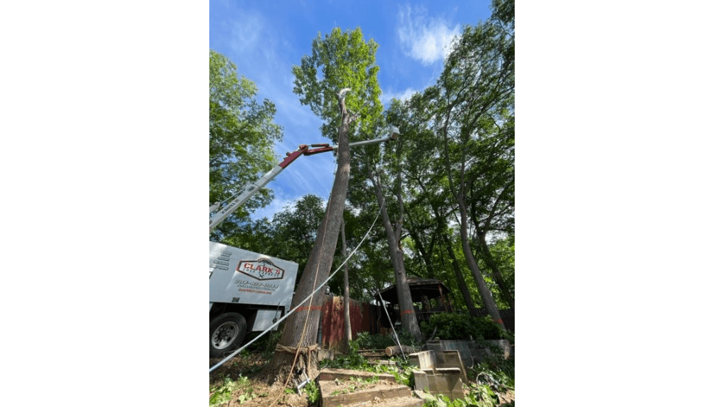 Clarks Tree Express déploie une nacelle araignée de 121 pieds pour améliorer sa réponse aux tempêtes en Caroline du Nord