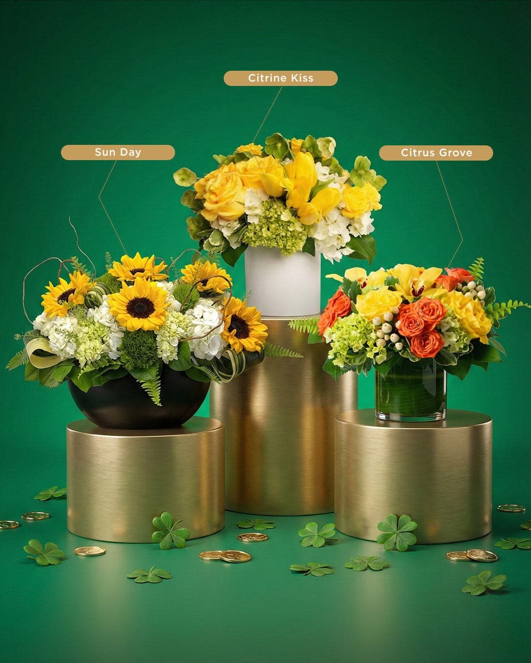 Le fleuriste de Juno Beach lance une collection signature d'orchidées pour la communauté côtière