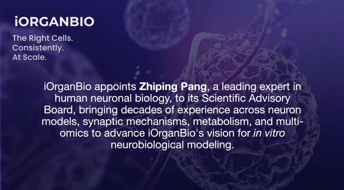 iOrganBio nomme l'expert en neurobiologie Zhiping Pang à son conseil scientifique