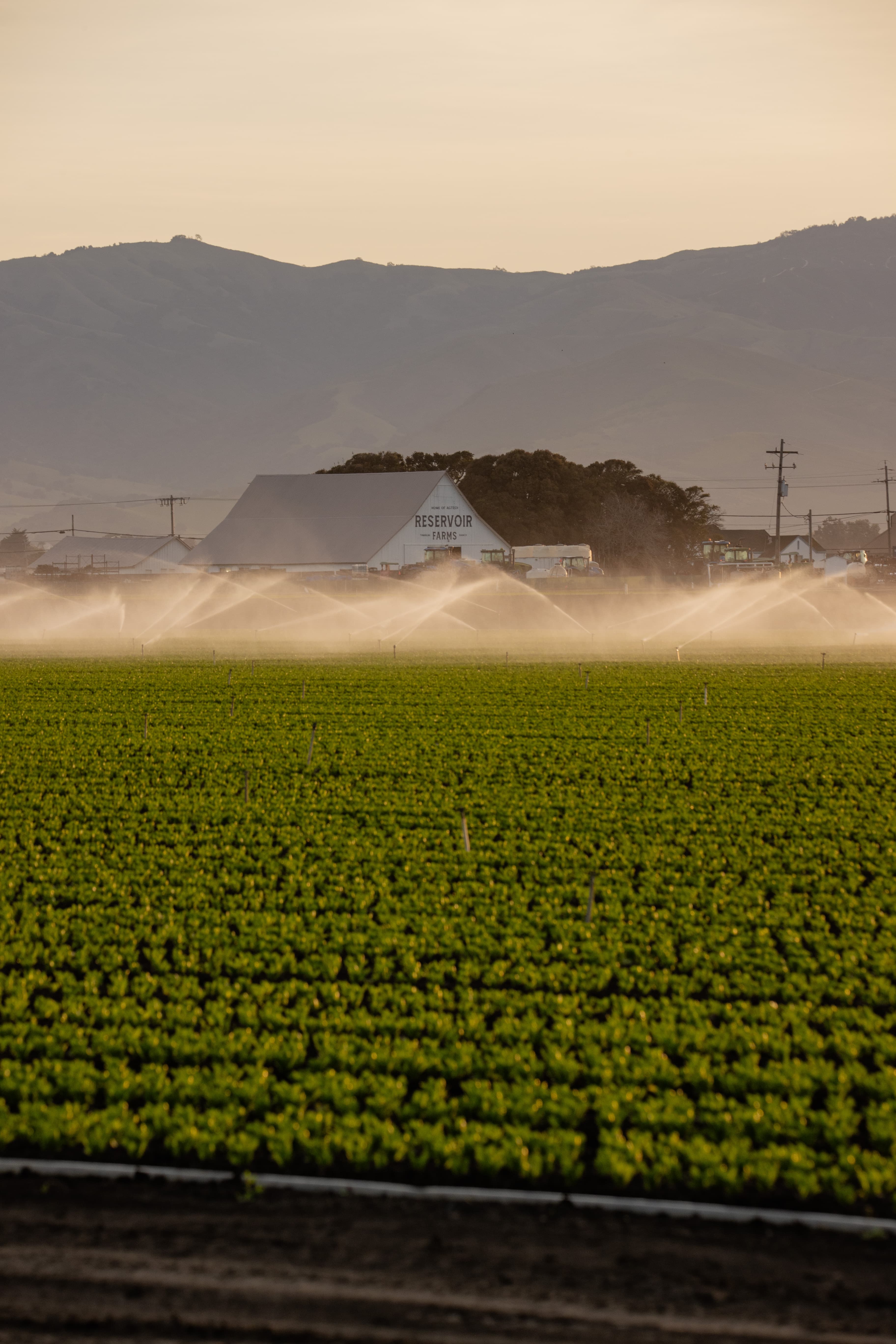 Reservoir lance un niveau Associé gratuit pour réduire les barrières à l'innovation AgTech