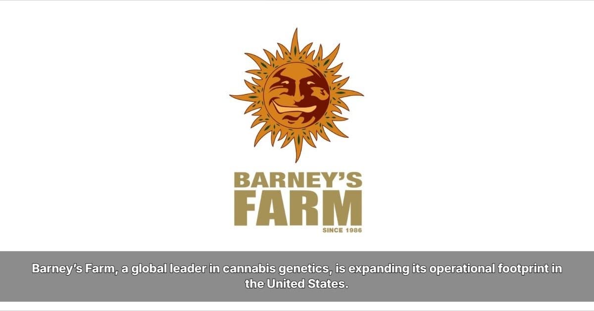 Barney's Farm ravive des souches de cannabis classiques pour la culture moderne lors de son expansion aux États-Unis