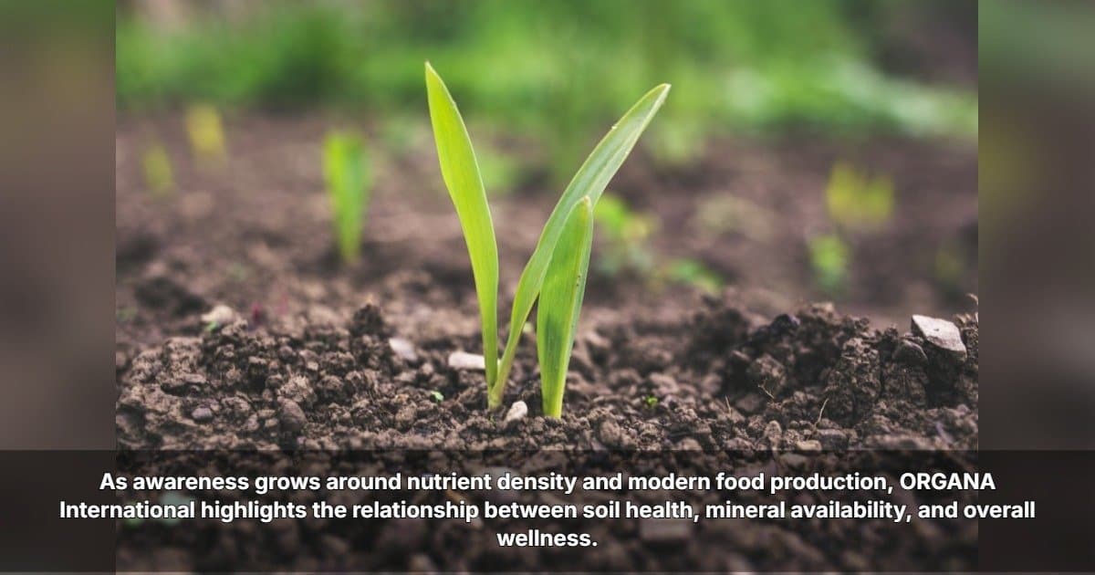 ORGANA International souligne le lien entre santé des sols et nutrition humaine
