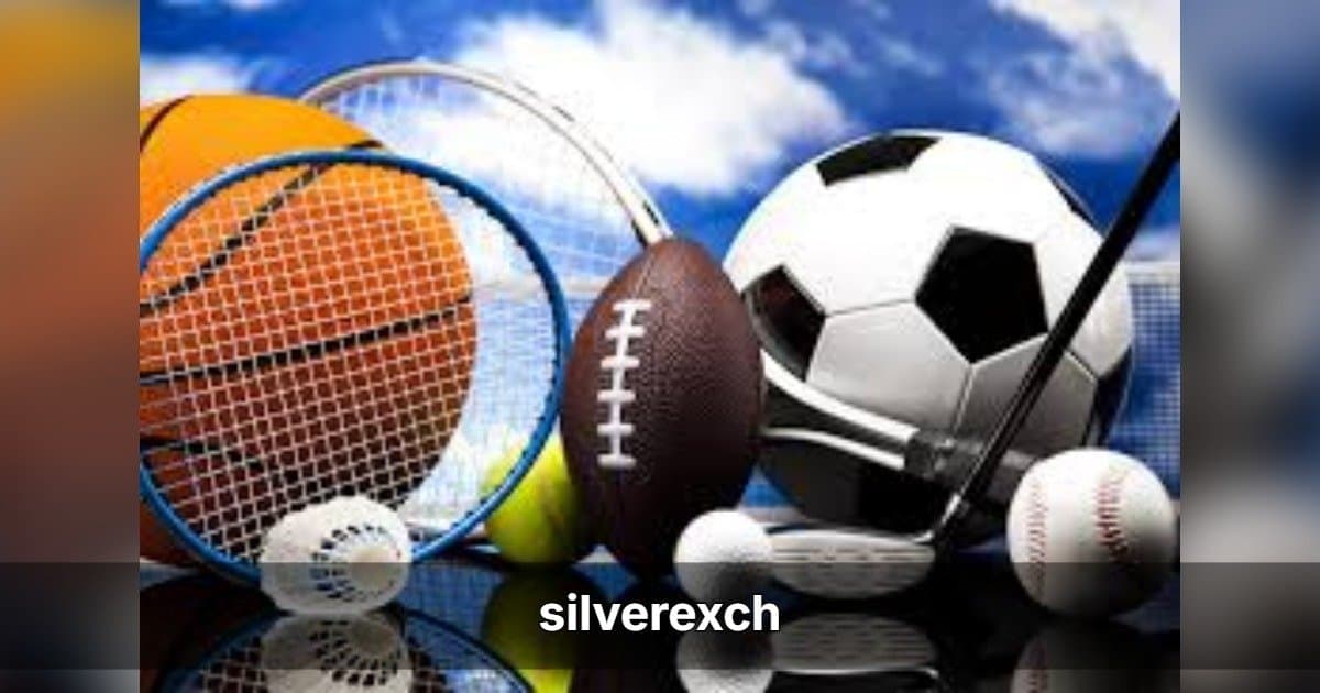 Silverexch dévoile une plateforme numérique améliorée pour une meilleure expérience utilisateur