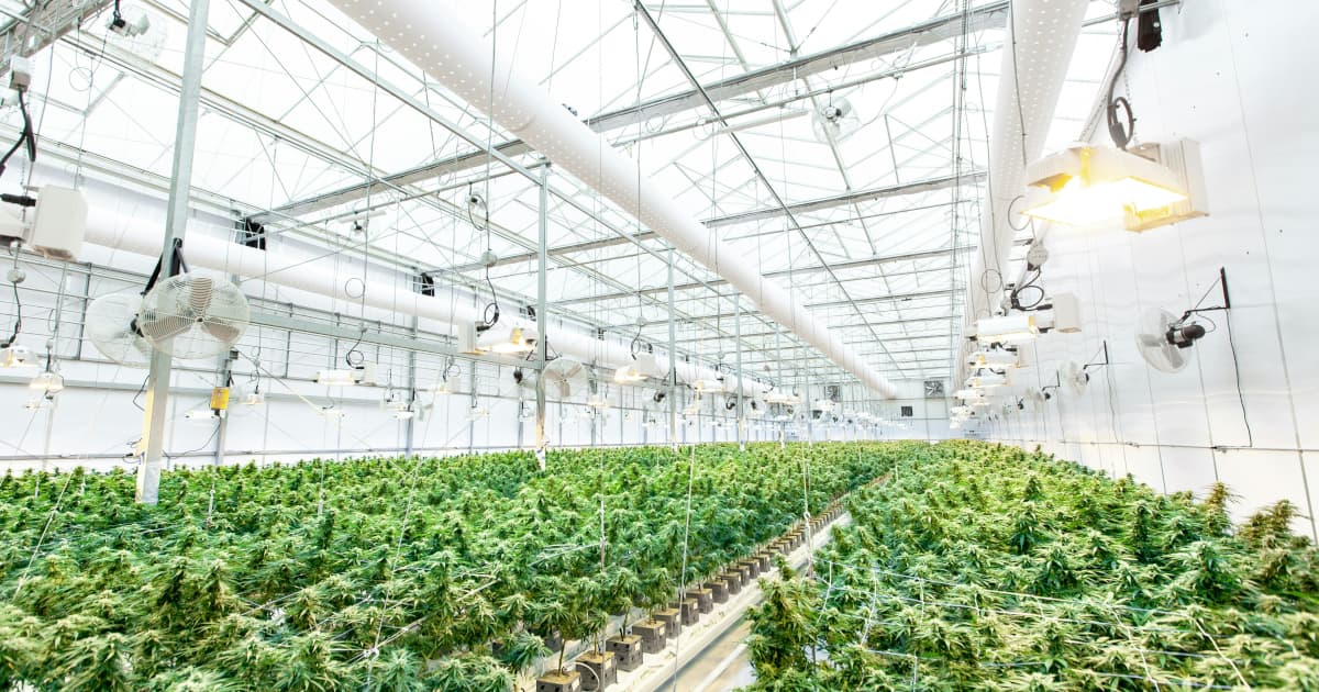 AXIM Biotechnologies et Medical Marijuana, Inc. forment une alliance stratégique pour développer une technologie de cannabinoïdes hydrosolubles