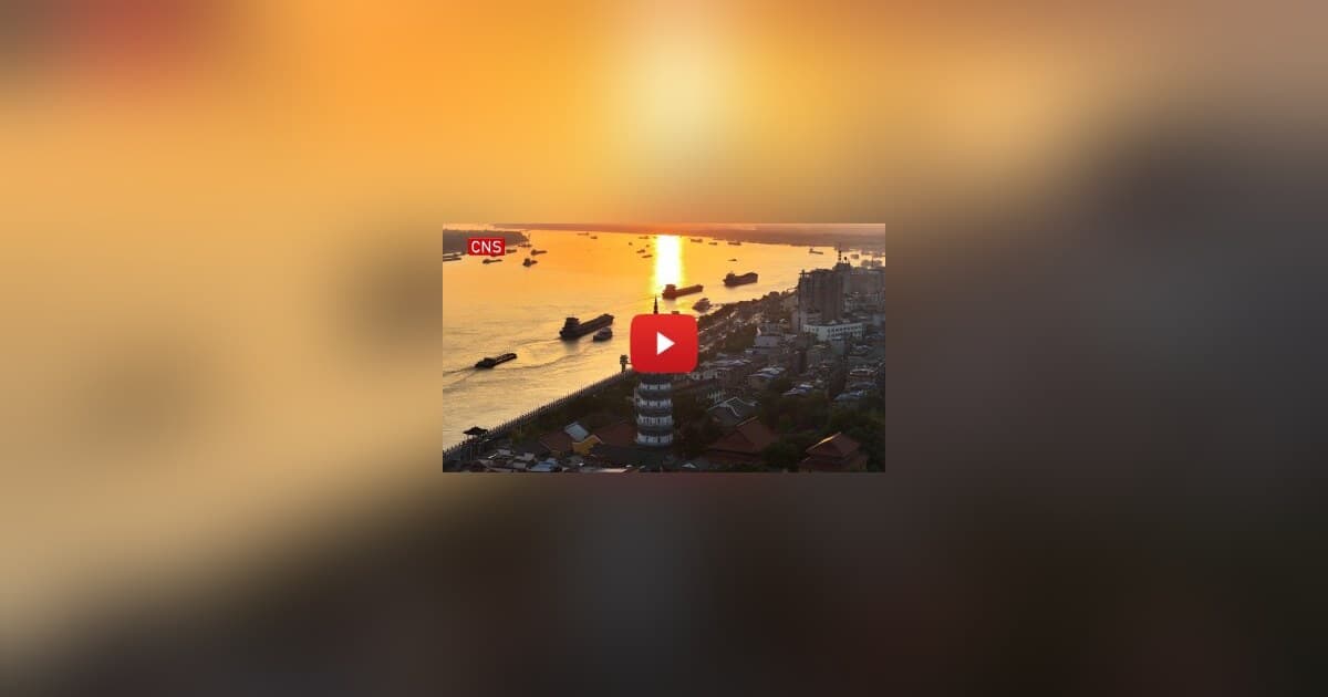 La technologie ADNe améliore la surveillance de la biodiversité dans le bassin du fleuve Yangtsé en Chine