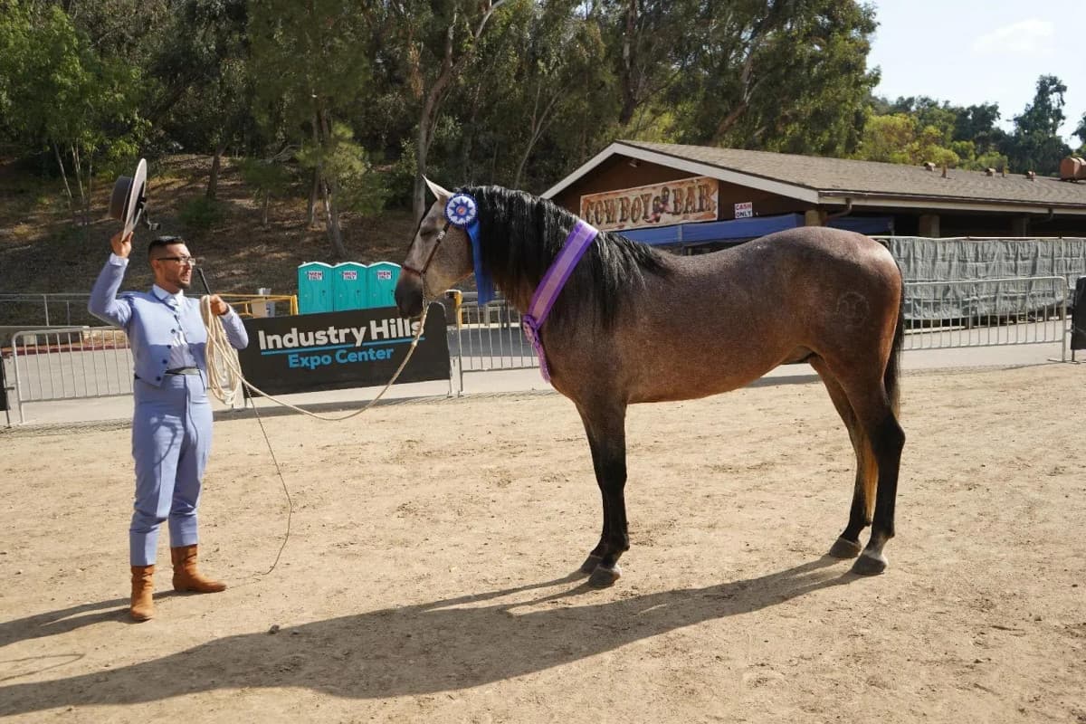 Bryan Gonzalez et Dante de Castellon triomphent à la Foire Équestre Espagnole en Californie
