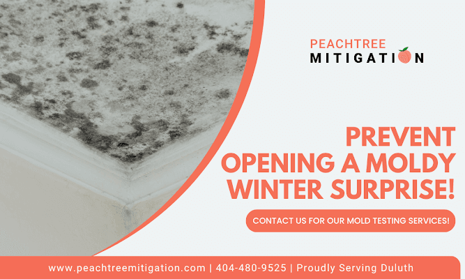 Une entreprise de restauration de Duluth exhorte les propriétaires à faire face aux risques cachés de moisissure grâce à des tests proactifs