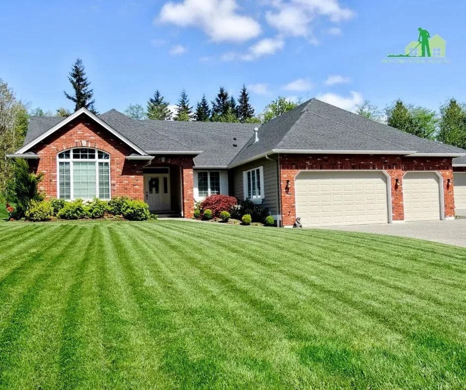 Lawn Care of Saint Johns propose des options de traitement de pelouse sans danger pour les animaux à ses clients résidentiels et commerciaux
