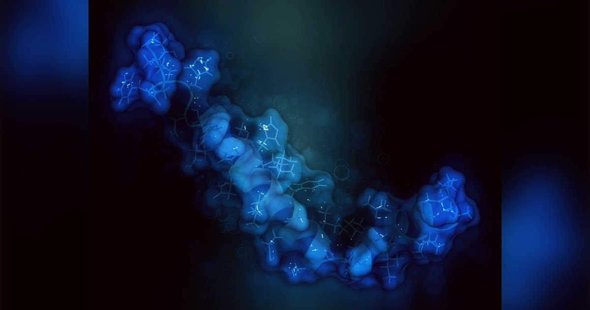 Les études ADME in vitro rationalisent le développement de médicaments grâce à des données précoces
